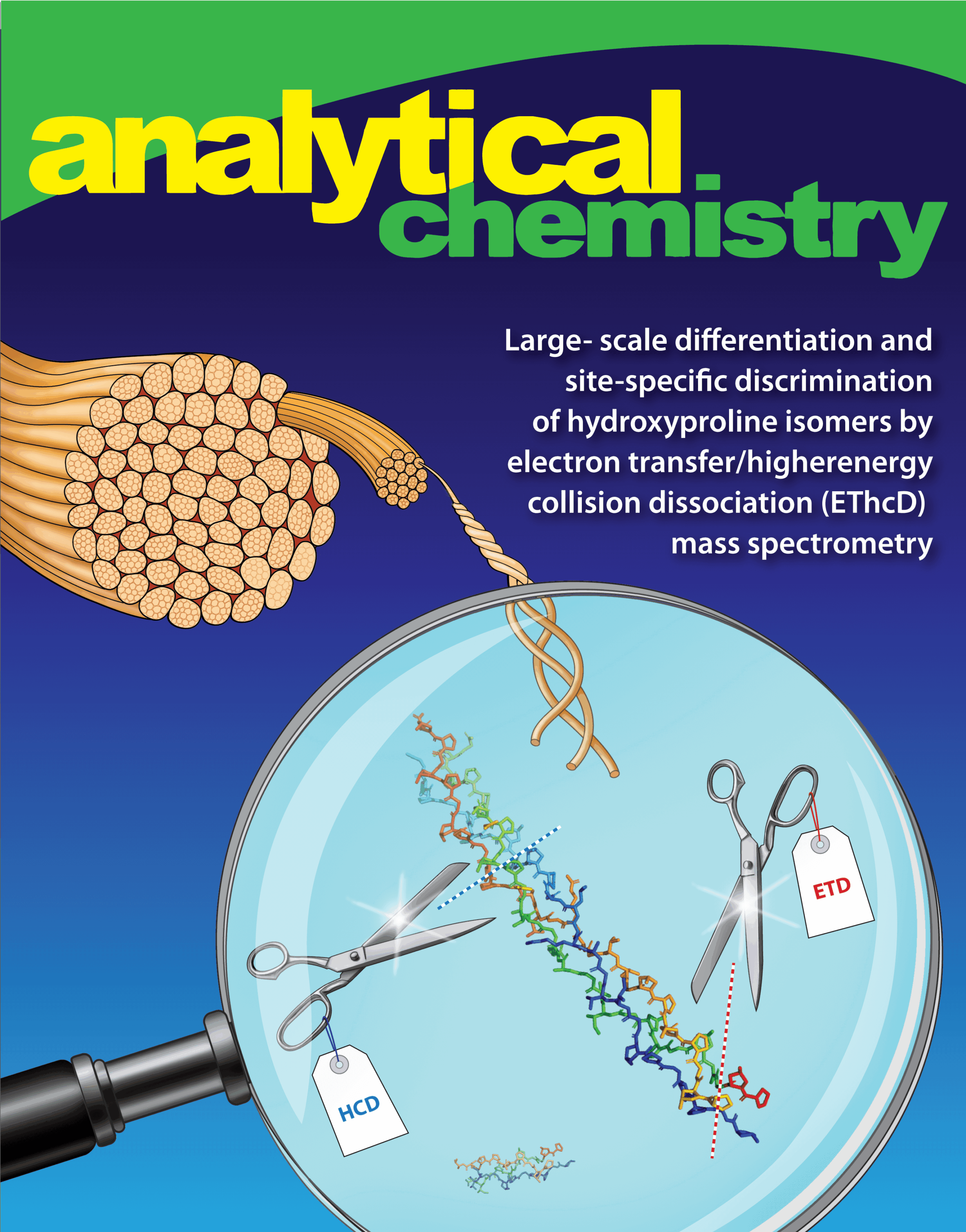 AC-EThcD_collagen-Cover_PAINTED-Final-darker Analytical chemistry journal cover