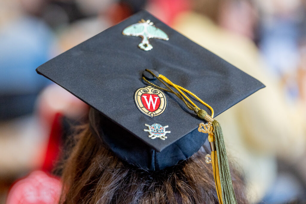 A PharmTox grad's hat, decorated with insect decals.