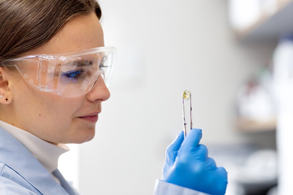 Cataldo examines a brain of an animal model that has been rendered optically clear by extracting the lipids.