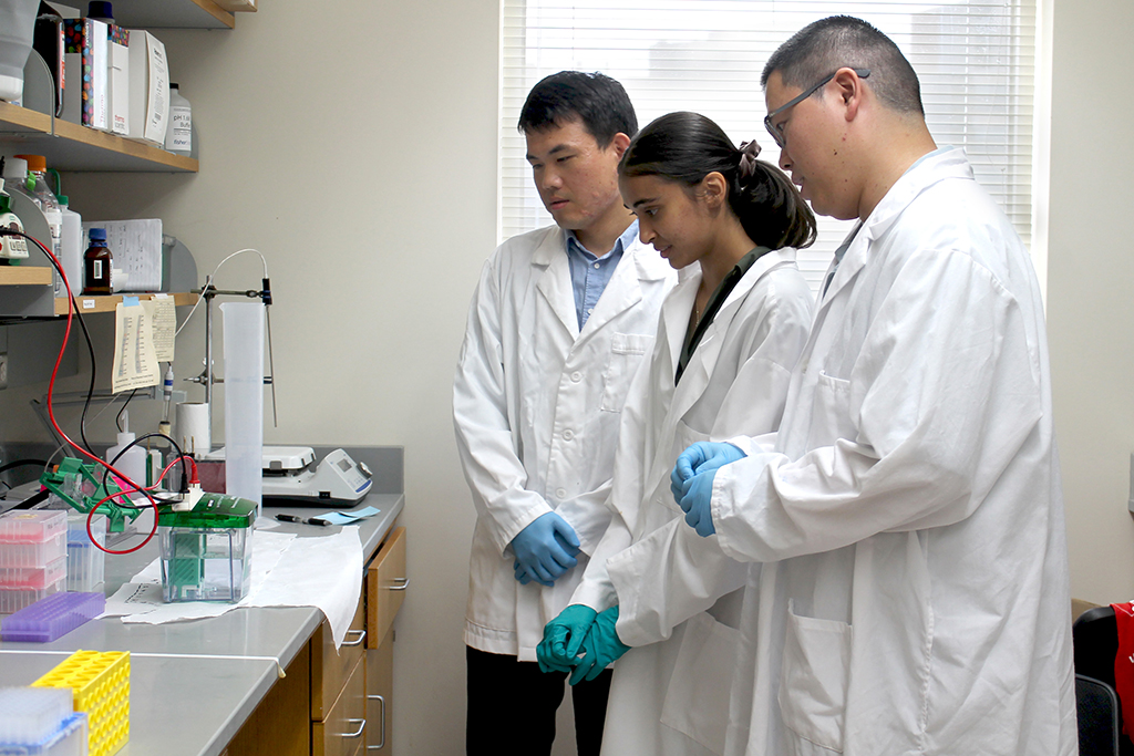 Samira Pal, PharmTox student, in the Hu Lab