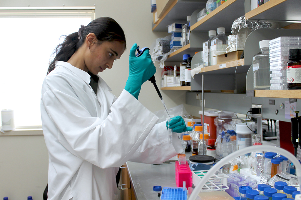 Samira Pal, PharmTox student, in the Hu Lab