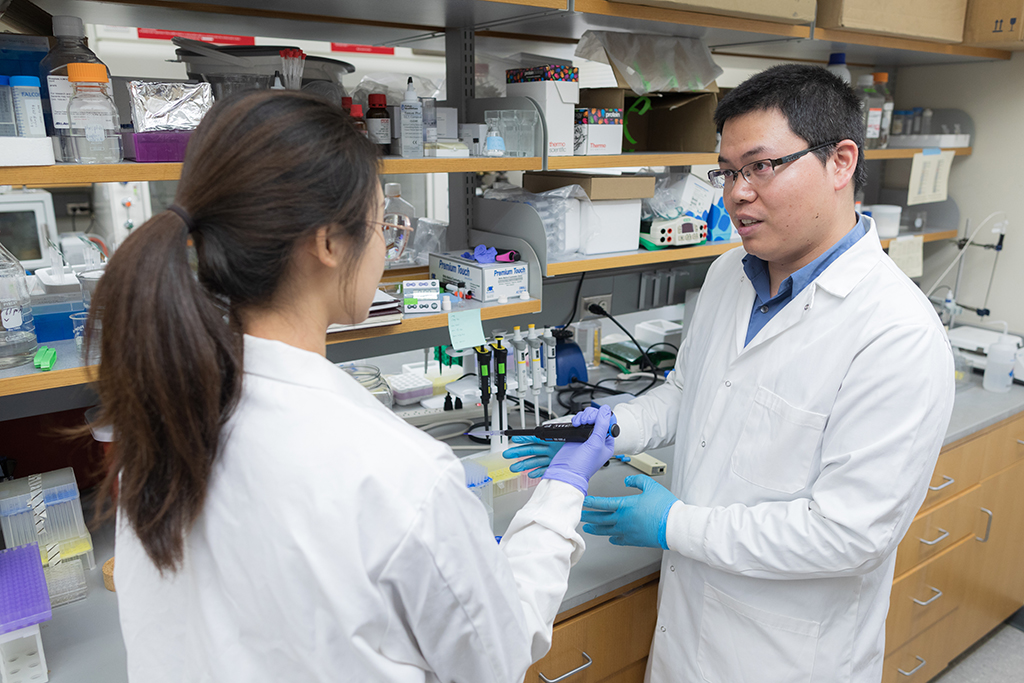 Assistant Professor Quanyin Hu and Pharmaceutical Sciences graduate student Sichen Yuan