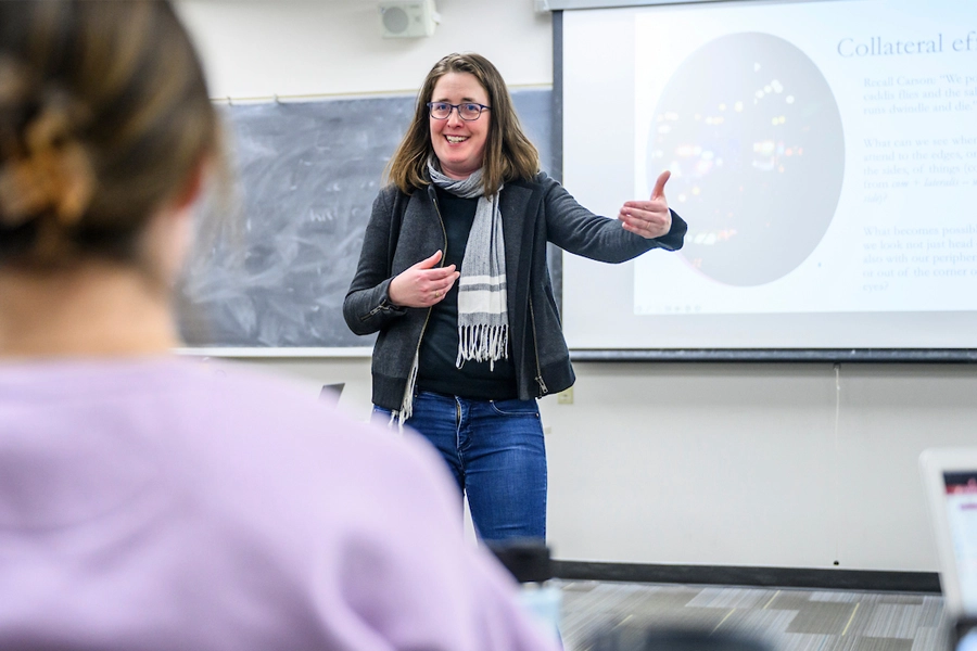 A guest lecturer gives a presentation to a class