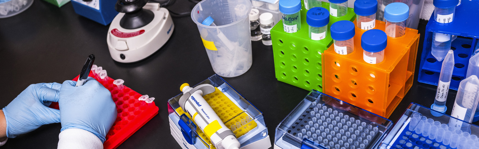 A scientist labels a sample with marker on a bench covered with test tubes and a pipette