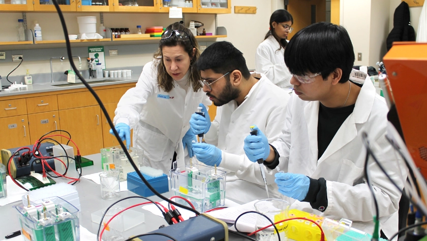 Professor Leslie Dickmann shows students how to set up their electrophoresis gels in lab
